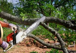 Best Firewood Processing and Delivery  in Spokane Valley, WA